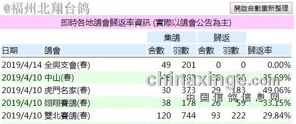 最新台鸽网一口价专区深度解析