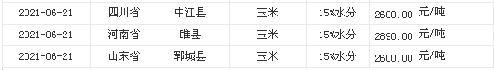 泰版一吻定情2最新消息，期待已久的新篇章即将开启