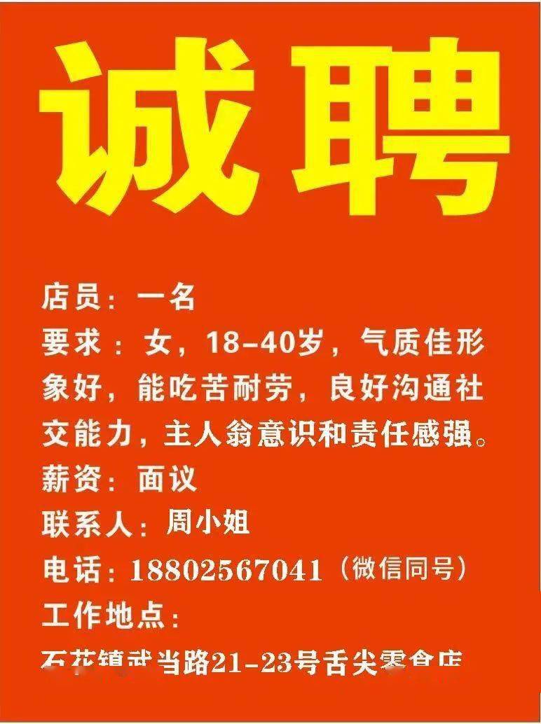 洛阳市招聘网最新招聘信息概览