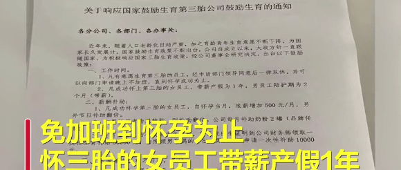 山东省三胎最新政策解读