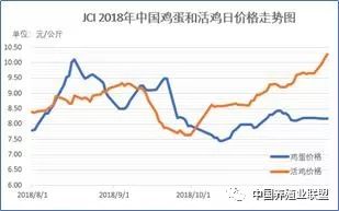 最新消息下的鸡蛋走势分析