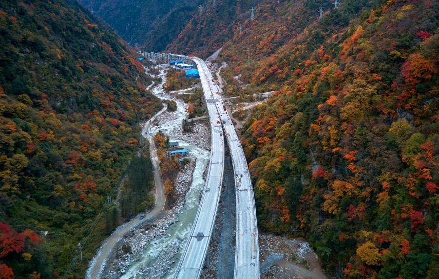 绵阳市东林乡最新消息概览