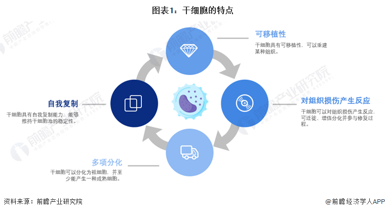 安沂华干细胞最新进展，突破与创新的前沿科技