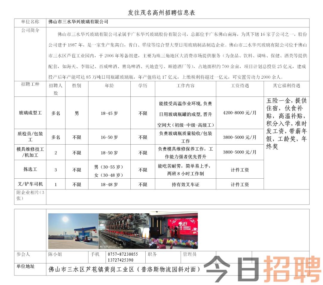 江门危运司机最新招聘动态及相关信息解读